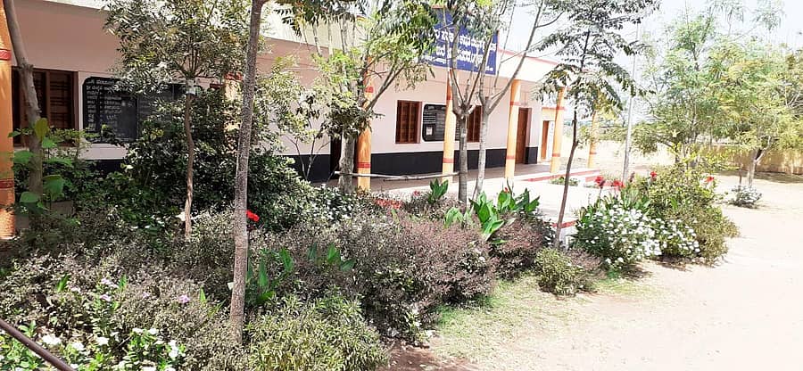 ತಿಕೋಟಾ ತಾಲ್ಲೂಕು ಜಾಧವನಗರ ಟಕ್ಕಳಕಿಯ ಸರ್ಕಾರಿ ಹಿರಿಯ ಪ್ರಾಥಮಿಕ ಶಾಲೆಯು ಹಚ್ಚ ಹಸಿರಿನಿಂದ ಕಂಗೊಳಿಸುತ್ತಿರುವುದು