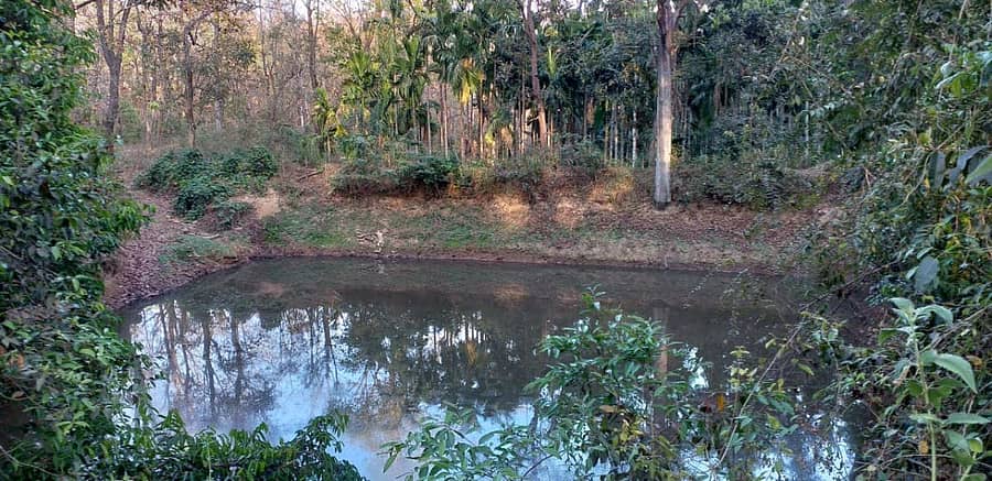 ಮಂಚಿಕೇರಿ ಸಮೀಪದ ಜೋಗಿಮಟ್ಟಿ ಕೊಕ್ಕಾರ ಕೆರೆ