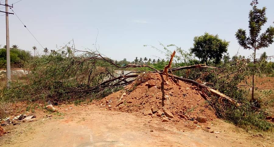 ಕೋಲಾರ ತಾಲ್ಲೂಕಿನ ಕ್ಯಾಲನೂರು ಗ್ರಾಮಸ್ಥರು ಕೊರೊನಾ ಸೋಂಕು ತಡೆಗಾಗಿ ಗ್ರಾಮಕ್ಕೆ ಹೊರಗಿನ ವ್ಯಕ್ತಿಗಳ ಪ್ರವೇಶ ನಿರ್ಬಂಧಿಸಲು ರಸ್ತೆಗೆ ಮಣ್ಣು ಸುರಿದು ಬಂದ್ ಮಾಡಿರುವುದು.