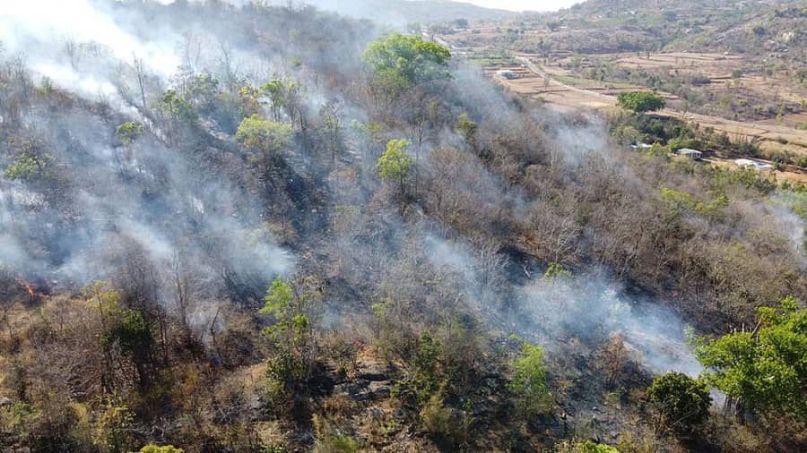 ಬನ್ನೇರುಘಟ್ಟ ರಾಷ್ಟ್ರೀಯ ಉದ್ಯಾನದ ಆಸುಪಾಸಿನಲ್ಲಿರುವ ಜಯಪುರ ದೊಡ್ಡಿ ಪ್ರದೇಶದಲ್ಲಿ ಭಾನುವಾರ ಬೆಂಕಿ ಕಾಣಿಸಿಕೊಂಡಿರುವುದು