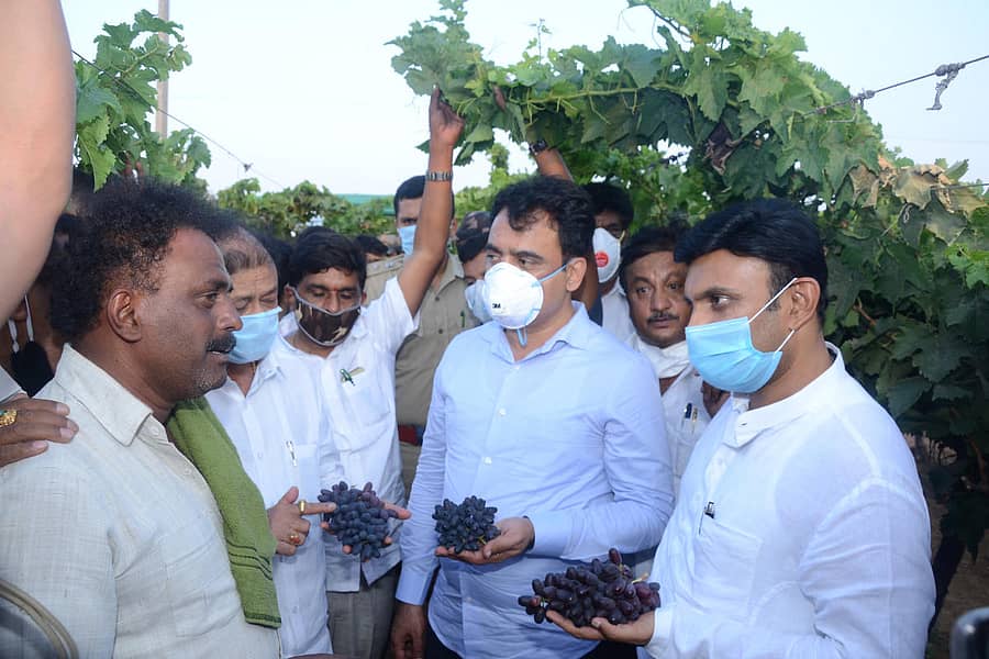 ಚಿಕ್ಕಬಳ್ಳಾಪುರ ತಾಲ್ಲೂಕಿನ ಹಾರೋಬಂಡೆ ರೈತರೊಬ್ಬರ ಜಮೀನಿನಲ್ಲಿ ಬೆಳೆದ ದ್ರಾಕ್ಷಿ ಫಸಲನ್ನು ಸಚಿವರಾದ ಡಾ.ಸಿ.ಎನ್.ಅಶ್ವತ್ಥನಾರಾಯಣ್, ನಾರಾಯಣಗೌಡ, ಡಾ.ಕೆ.ಸುಧಾಕರ್ ಅವರ ವೀಕ್ಷಿಸಿದರು.