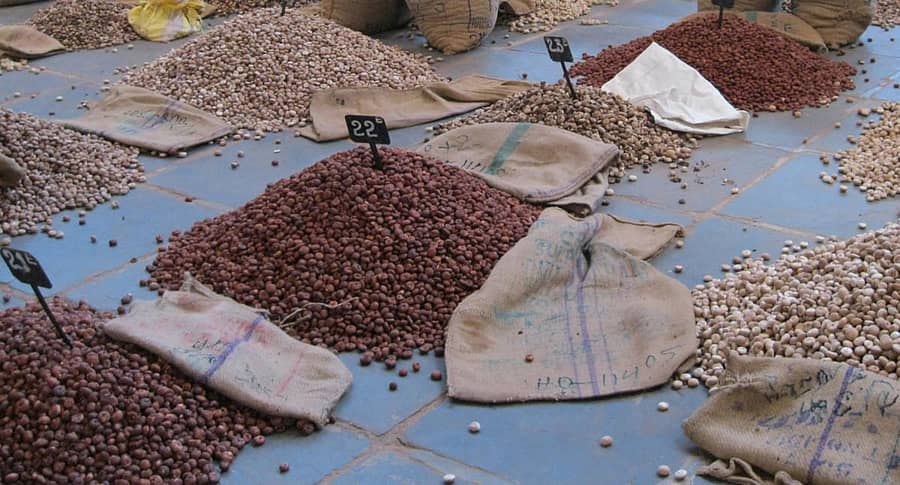 ಕೆಂಪಡಿಕೆ ಹಾಗೂ ಚಾಲಿ ಅಡಿಕೆ (ಸಾಂದರ್ಭಿಕ ಚಿತ್ರ)