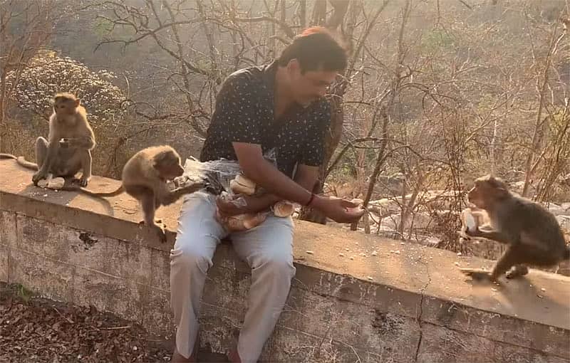 ರಾಮನಗರ ಬಿಜೆಪಿ ಜಿಲ್ಲಾಧ್ಯಕ್ಷ ಎಂ.ರುದ್ರೇಶ್ ಕೋತಿಗಳಿಗೆ ಆಹಾರ ನೀಡುತ್ತಿರುವುದು