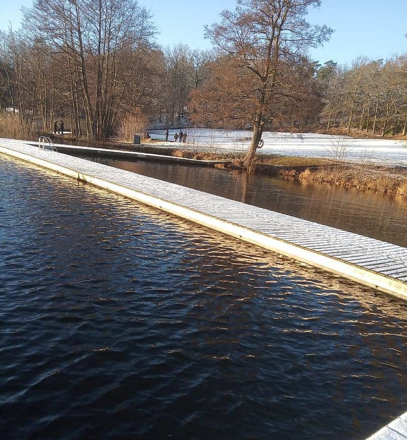 ಸ್ವೀಡನ್ನ ನೆಕ್ಕಾ ರಿಸರ್ವ್ ಫಾರೆಸ್ಟಿನ ನೋಟ