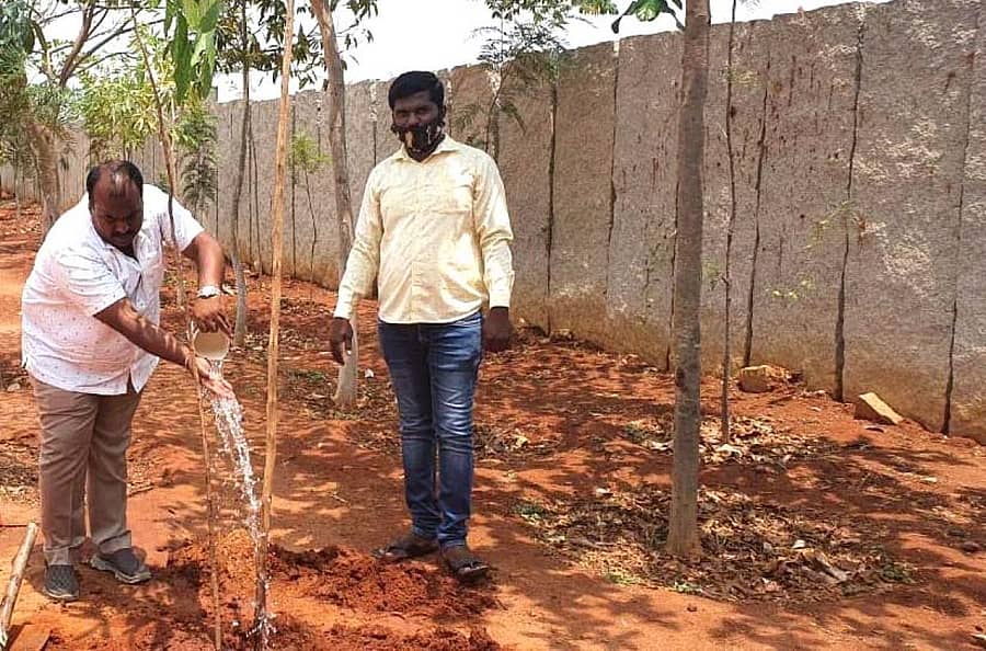 ಪಂಚಾಯಿತಿ ಆವರಣದಲ್ಲಿ ಸಸಿ ನೆಟ್ಟು ನೀರೆರೆದ ಕೆ.ಸಿ.ಮಂಜುನಾಥ್.