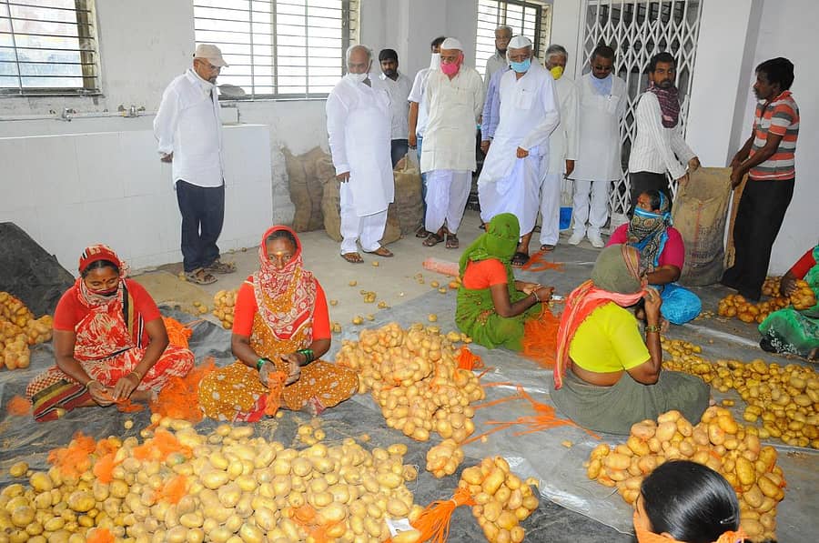 ಬಸವನ ಬಾಗೇವಾಡಿ ತಾಲ್ಲೂಕಿನ ಕಡುಬಡವರಿಗೆ ವಿತರಿಸಲು ಆಹಾರ ಪದಾರ್ಥಗಳ ಕಿಟ್‌ ಮಾಡುತ್ತಿರುವುದನ್ನು ಶಾಸಕ ಶಿವಾನಂದ ಪಾಟೀಲ ವೀಕ್ಷಿಸಿದರು –ಪ್ರಜಾವಾಣಿ ಚಿತ್ರ