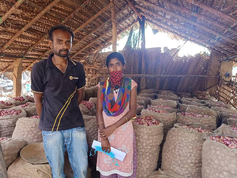 ಬೆಳೆದಿರುವ ಈರುಳ್ಳಿಯೊಂದಿಗೆ ಪ್ರತಾಪ್–ವಸಂತಕುಮಾರಿ ದಂಪತಿ