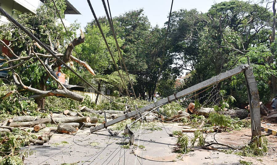 ಭಾನುವಾರ ಬಿರುಗಾಳಿ ಸಹಿತ ಮಳೆಗೆ, ಮೈಸೂರಿನ ಅಂಬೇಡ್ಕರ್ ರಸ್ತೆಯಲ್ಲಿ ಮುರಿದು ಬಿದ್ದಿರುವ ಮರಗಳು ಹಾಗೂ ತುಂಡಾಗಿರುವ ವಿದ್ಯುತ್ ಕಂಬ