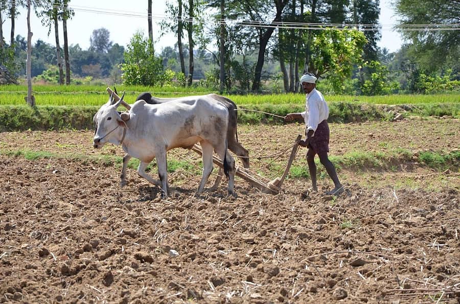ಪ್ರಾತಿನಿಧಿಕ ಚಿತ್ರ