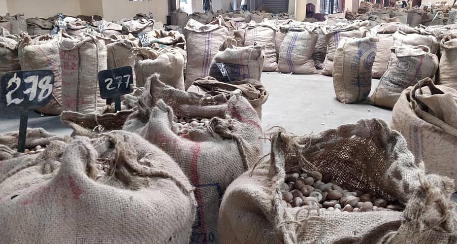 ಮಾರಾಟಕ್ಕೆ ಬಂದಿರುವ ಬಿಳಿ ಅಡಿಕೆ ಚೀಲಗಳು (ಸಾಂದರ್ಭಿಕ ಚಿತ್ರ)