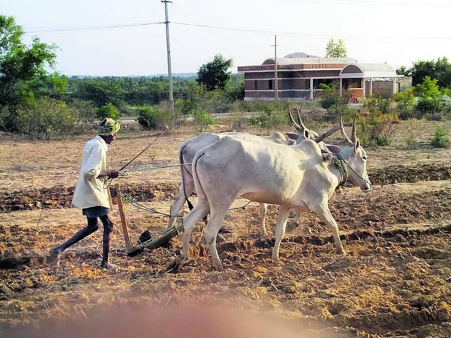 ಮುಂಗಾರು ಹಂಗಾಮಿಗೆ ಜಮೀನು ಸಿದ್ಧಪಡಿಸುತ್ತಿದ್ದ ರೈತ