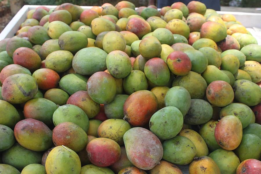 –ಸಾಂದರ್ಭಿಕ ಚಿತ್ರ