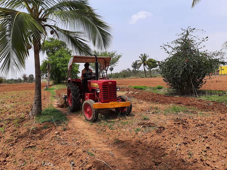 ಉಳುಮೆಯಲ್ಲಿ ತೊಡಗಿರುವುದು