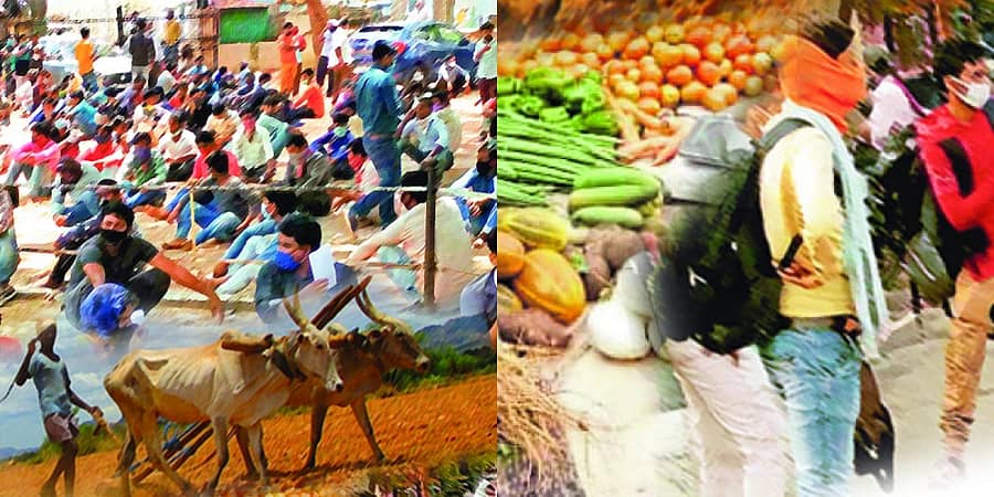 ಪ್ರಾತಿನಿಧಿಕ ಚಿತ್ರ 