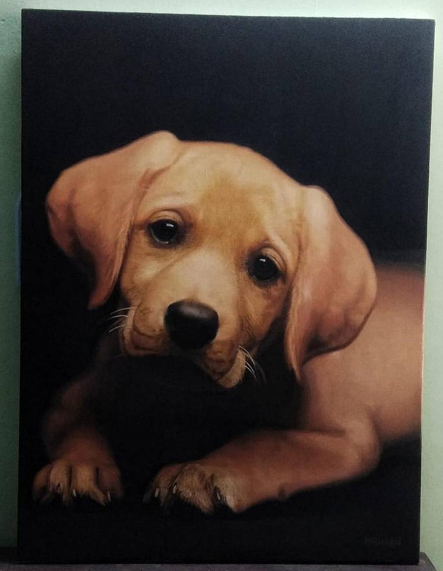 ರಿಷಭ್ ಬಣ್ಣ ತುಂಬಿದ ಮುದ್ದಾದ ನಾಯಿ ಮರಿಯ ಚಿತ್ರ