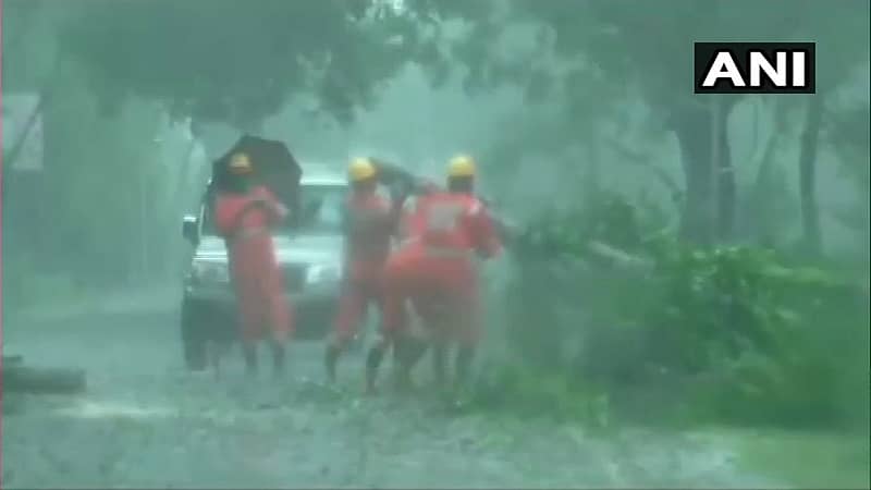 ಪಶ್ಚಿಮ ಬಂಗಾಳದಲ್ಲಿ ಅಂಫಾನ್‌ ಚಂಡಮಾರುತಕ್ಕೆ ಮರಗಳು ಉರುಳಿರುವುದು