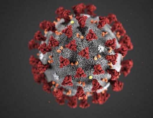 ಕೊರೊನಾ ವೈರಸ್‌