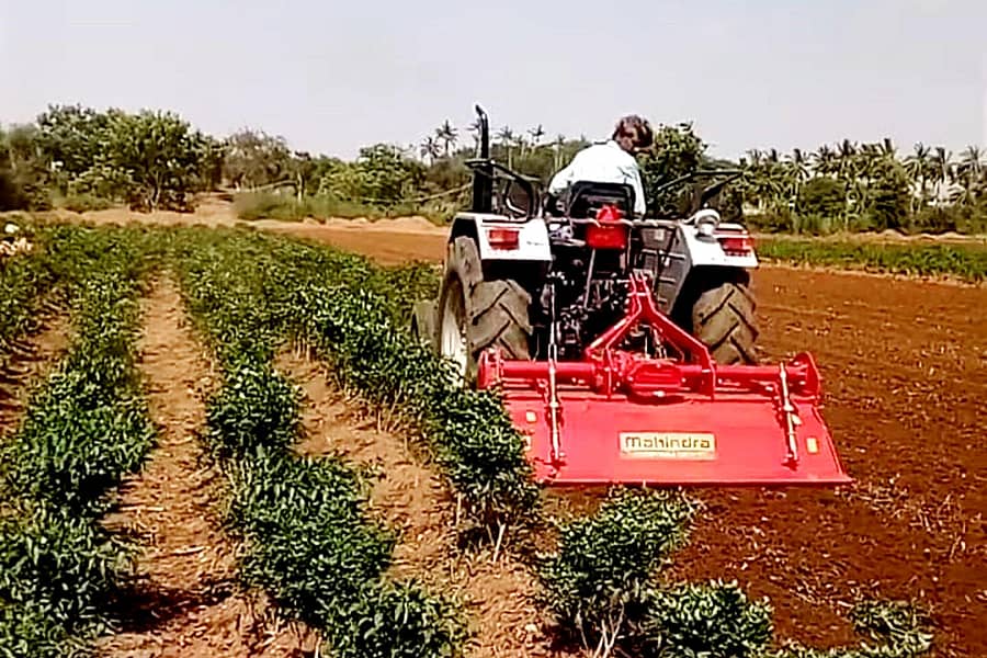 ಉತ್ತಮ ದರ ಸಿಗದ ಕಾರಣ ಮೆಣಸಿನಕಾಯಿ ಬೆಳೆಯನ್ನು ಟ್ರ್ಯಾಕ್ಟರ್ ಮೂಲಕ ನಾಶಪಡಿಸಿದ ಹನುಮನಹಳ್ಳಿ ರೈತ