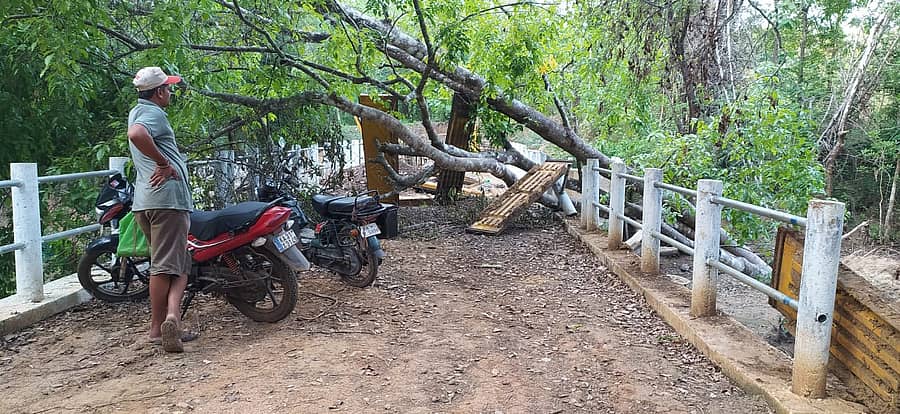 ಮಳೆಯಿಂದಾಗಿ ಮರಗಳು ಬಿದ್ದಿದ್ದು ರಸ್ತೆ ಸಂಪರ್ಕ ಕಡಿತಗೊಂಡಿದೆ.