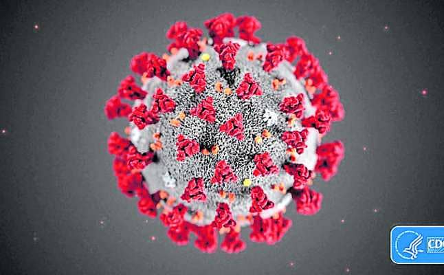 ಕೊರೊನಾ ವೈರಸ್‌