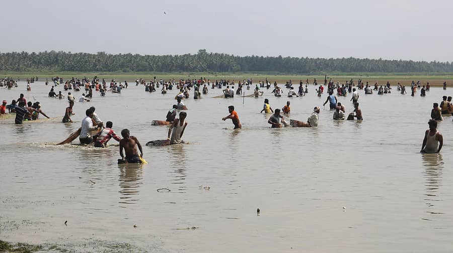 ಕಿಕ್ಕೇರಿ ಅಮಾನಿಕೆರೆಯಲ್ಲಿ ಮೀನು ಹಿಡಿಯಲು ದಂಡಿಯಾಗಿ ಗುಂಪು ಸೇರಿರುವ ಸಾರ್ವಜನಿಕರು