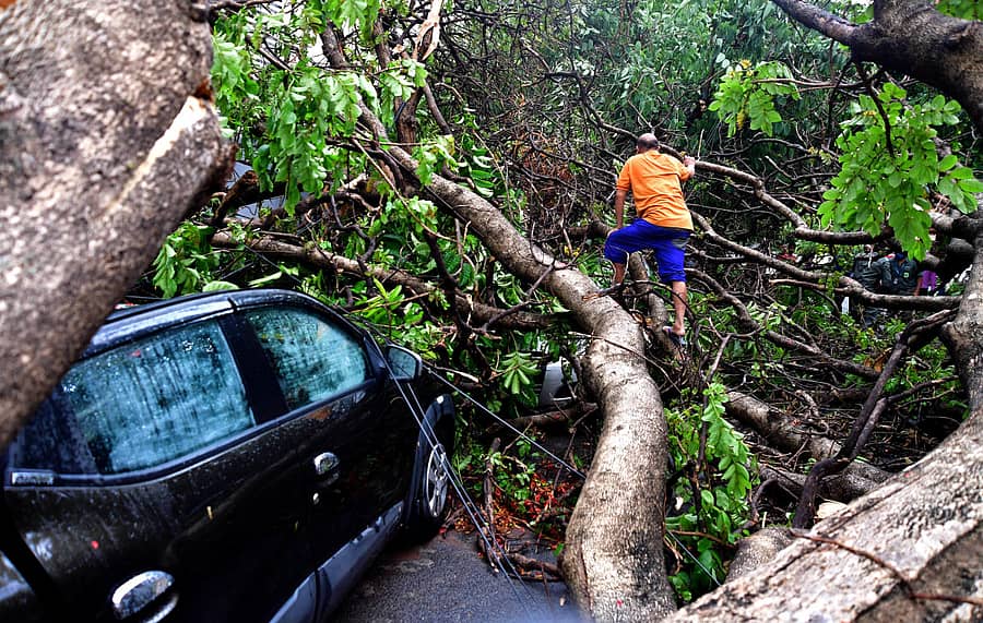 ನಗರದಲ್ಲಿ ಬುಧವಾರ ಸುರಿದ ಗಾಳಿ ಮಳೆಗೆ ಮಲ್ಲೇಶ್ವರ 18ನೇ ಕ್ರಾಸ್‌ನಲ್ಲಿ ಮರವೊಂದು ಬಿದ್ದ ಪರಿಣಾಮ ಮೂರು ಕಾರುಗಳು ಜಖಂಗೊಂಡವು. ವ್ಯಕ್ತಿಯೊಬ್ಬರು ತಮ್ಮ ಕಾರಿನ ಸ್ಥಿತಿಯನ್ನು ಅರಿಯಲು ಪ್ರಯತ್ನಿಸಿದರು.