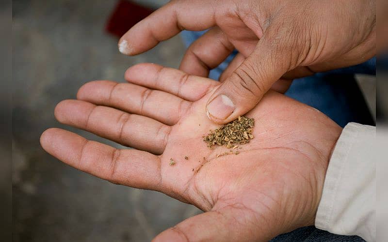 ಸಾಂದರ್ಭಿಕ ಚಿತ್ರ