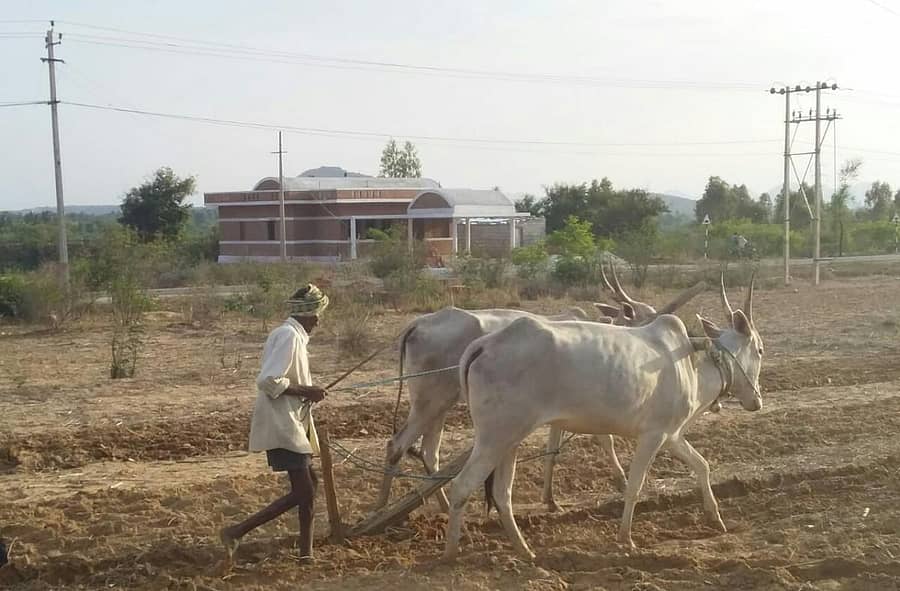 ಶಿಡ್ಲಘಟ್ಟ ತಾಲ್ಲೂಕಿನ ಸಾದಲಿಯ ಹೊರವಲಯದಲ್ಲಿ ರೈತರೊಬ್ಬರು ಬಿತ್ತನೆಗೆ ಭೂಮಿ ಸಜ್ಜುಗೊಳಿಸಲು ಉಳುಮೆ ಮಾಡಿದರು.