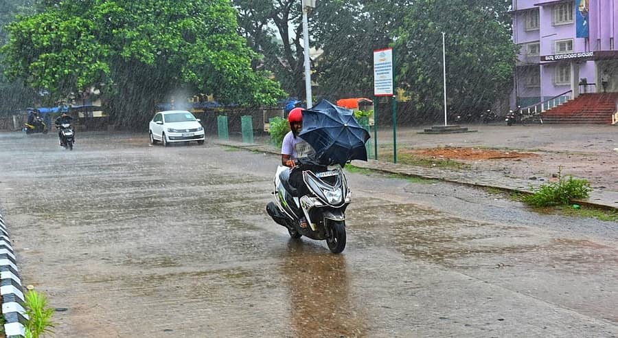 ಕಾರವಾರದಲ್ಲಿ ಮಂಗಳವಾರ ಭಾರಿ ಗಾಳಿ, ಮಳೆಯ ನಡುವೆ ದ್ವಿಚಕ್ರ ವಾಹನ ಸವಾರರೊಬ್ಬರು ಛತ್ರಿ ಹಿಡಿದುಕೊಂಡು ಸಾಗಿದ ರೀತಿ ಹೀಗಿತ್ತು – ಪ್ರಜಾವಾಣಿ ಚಿತ್ರ: ದಿಲೀಪ ರೇವಣಕರ್