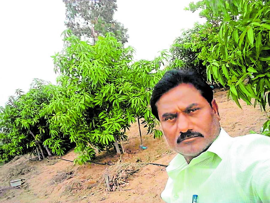 ತಾವು ಬೆಳೆಸಿರುವ ಗಿಡಗಳ ಮುಂದೆ ನಿಂತಿರುವ ನೀಲಕಂಠರಾಯ ಎಲ್ಹೇರಿ