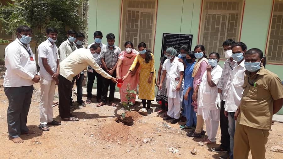 ಕುಕನೂರಿನ ಸಮುದಾಯ ಆರೋಗ್ಯ ಕೇಂದ್ರದಲ್ಲಿ ಶುಕ್ರವಾರ ವಿಶ್ವ ಪರಿಸರ ದಿನ ಆಚರಿಸಲಾಯಿತು