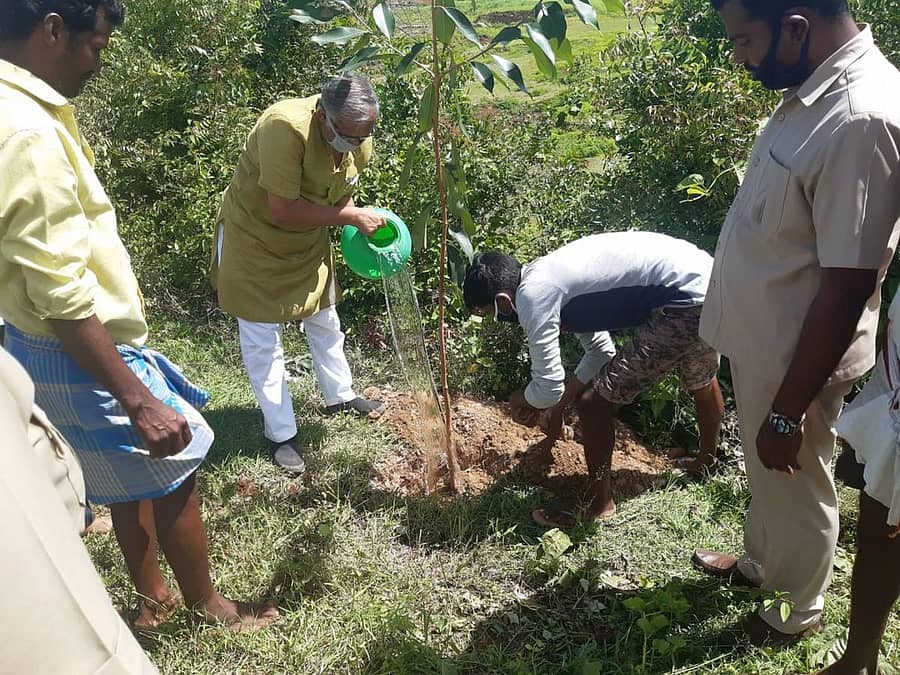 ಕಂಚುಗಹಳ್ಳಿ ಗ್ರಾಮದ ಮಹದೇಶ್ವರ ದೇವಸ್ಥಾನದ ಆವರಣದಲ್ಲಿ ಸಚಿವ ಎಸ್.ಸುರೇಶ್ ಕುಮಾರ್ ಸಸಿ ನೆಟ್ಟು ನೀರೆರೆದರು