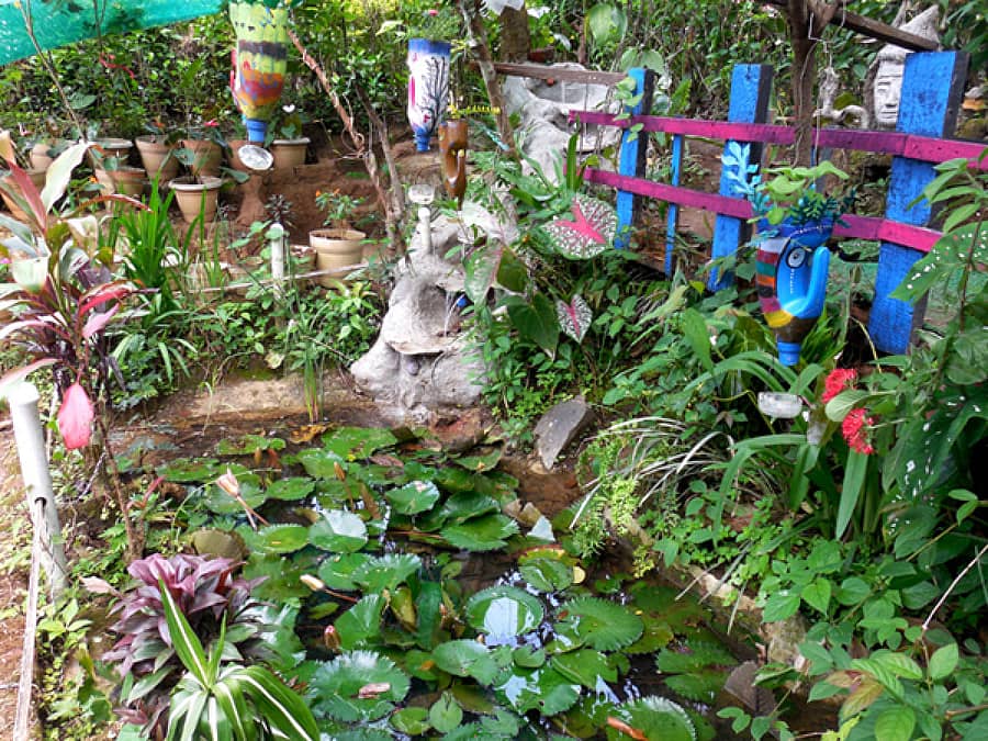 ಶನಿವಾರಸಂತೆ ಸಮೀಪದ ಚಿಕ್ಕಕೊಳತ್ತೂರು ಗ್ರಾಮದ ಸಿ.ಎಸ್.ಸತೀಶ್ ಅವರ ಮನೆ ಅಂಗಳದಲ್ಲಿ ನಿರ್ಮಿಸಿರುವ ಉದ್ಯಾನ