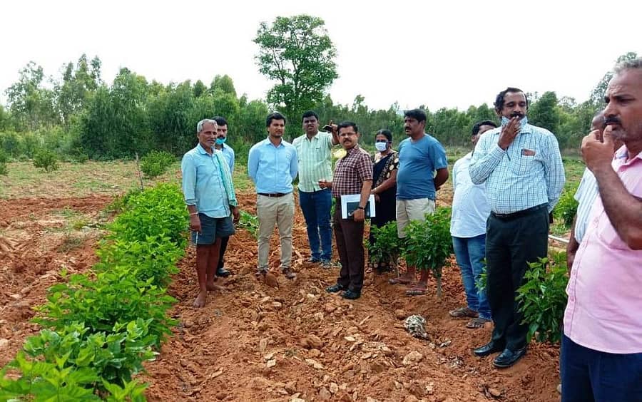 ಕೋಲಾರ ತಾಲ್ಲೂಕಿನ ಪಾರ್ಶ್ವಗಾನಹಳ್ಳಿಯ ಪ್ರಗತಿಪರ ರೈತ ನಾರಾಯಣಪ್ಪ ಅವರ ಜಮೀನಿಗೆ ಜಿ.ಪಂ ಸಿಇಒ ಎಚ್.ವಿ.ದರ್ಶನ್ ಶನಿವಾರ ಭೇಟಿ ನೀಡಿದರು.