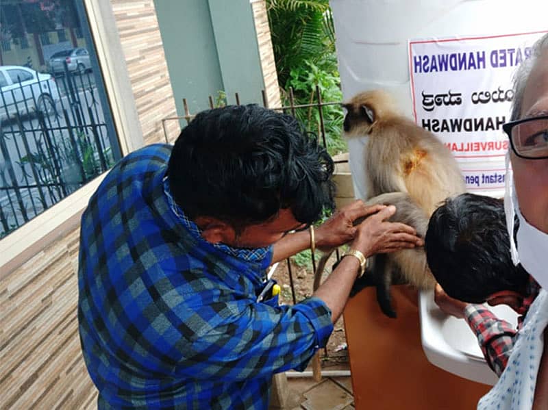 ಗಾಯಗೊಂಡಿರುವ ಕೋತಿಗೆ ದಾಂಡೇಲಿಯ ನರ್ಸಿಂಗ್ ಹೋಂ ಹೊರಗೆ ಚಿಕಿತ್ಸೆ ನೀಡುತ್ತಿರುವುದು