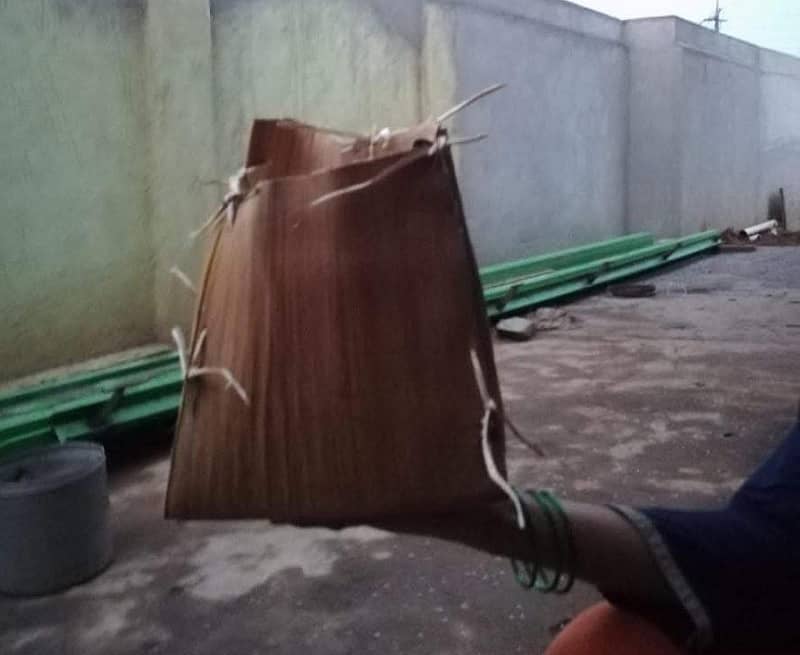 ಗ್ರೋಬ್ಯಾಗ್ 