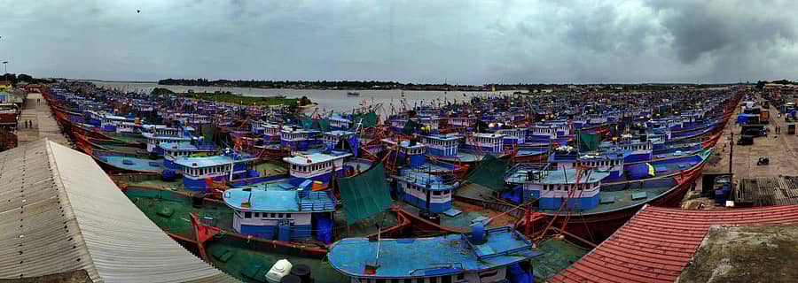 ಮಂಗಳೂರಿನ ಧಕ್ಕೆಯಲ್ಲಿ ಮೀನುಗಾರಿಕಾ ಬೋಟ್‌ಗಳು ಲಂಗರು ಹಾಕಿರುವುದು. (ಪ್ರಜಾವಾಣಿ ಚಿತ್ರ: ಗೋವಿಂದರಾಜ ಜವಳಿ)