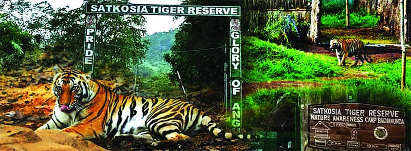 ವಿವಾದಿತ ಹುಲಿ