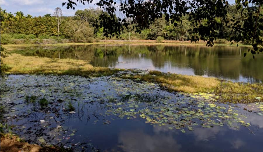 ಶಿರಸಿ ತಾಲ್ಲೂಕಿನ ಸೋಂದಾದ ಕೆರೆ (ಸಾಂದರ್ಭಿಕ ಚಿತ್ರ)