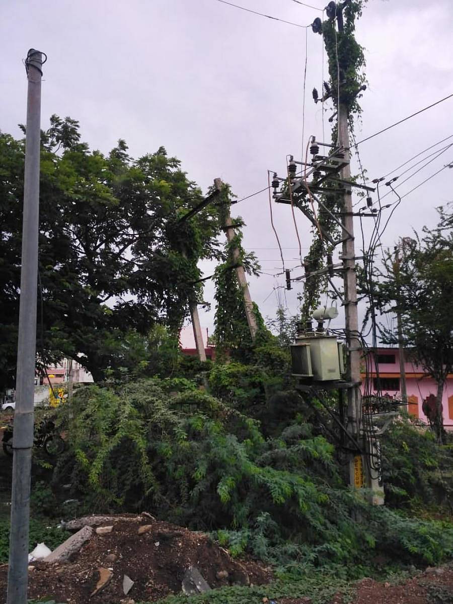 ಬಂಜಾರ ಚೌಕ್ ಹತ್ತಿರದ ಶರಣಬಸವೇಶ್ವರ ಮೀಲ್ ಮುಂಭಾಗದ ವಿದ್ಯುತ್ ಪರಿವರ್ತಕದ ಸುತ್ತ ಬಳ್ಳಿ ಹಬ್ಬಿಕೊಂಡಿರುವುದು