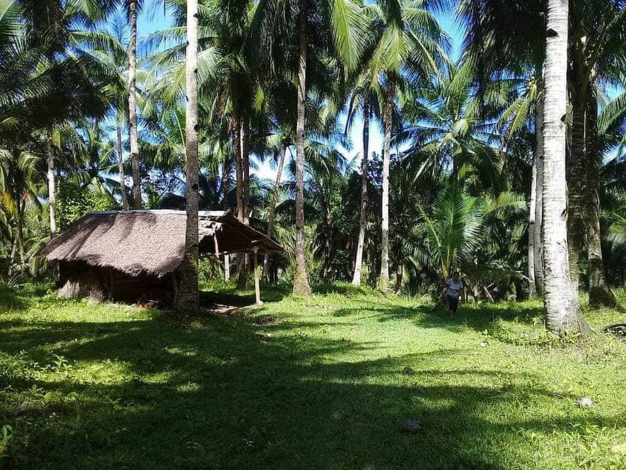 ಪ್ರಾತಿನಿಧಿಕ ಚಿತ್ರ