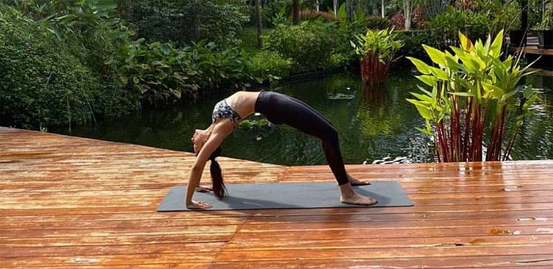 ಯೋಗಭಂಗಿಯಲ್ಲಿ ರಕುಲ್ ಪ್ರೀತ್‌