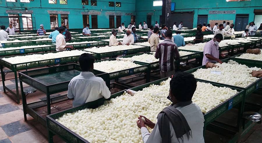 ವಿಜಯಪುರ ರೇಷ್ಮೆಗೂಡು ಮಾರುಕಟ್ಟೆಯಲ್ಲಿ ಹರಾಜಿಗೆ ಕಾಯುತ್ತಿರುವ ರೈತರು