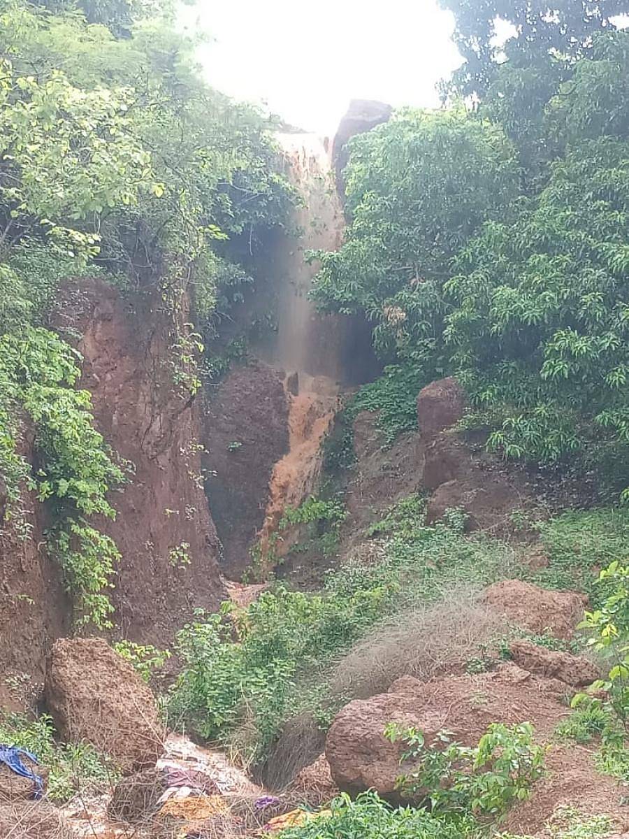 ಭಾಲ್ಕಿ ತಾಲ್ಲೂಕಿನ ಮೈಲಾರ ಗ್ರಾಮದ ಸುತ್ತಮುತ್ತ ಸುರಿದ ಮಳೆಗೆ ಗಾಯಮುಖ ಗುಪ್ತಲಿಂಗೇಶ್ವರ ದೇವಸ್ಥಾನದಲ್ಲಿ ಮನಮೋಹಕವಾಗಿ ನೀರು ಮೇಲಿನಿಂದ ಧುಮ್ಮಿಕ್ಕಿತ್ತಿರುವುದು