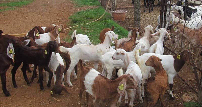 ಸಾಂದರ್ಭಿಕ ಚಿತ್ರ