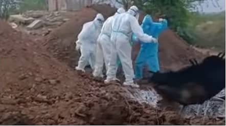 ಬಳ್ಳಾರಿ ಜಿಲ್ಲೆಯಲ್ಲಿ ಸೋಂಕಿತರ ಶವಗಳನ್ನು ಗುಂಡಿಗೆ ಎಸೆದ ಸಿಬ್ಬಂದಿ. (ವಿಡಿಯೊ ಕ್ಲಿಪಿಂಗ್ನ ಸ್ಕ್ರೀನ್ ಗ್ರಾಬ್)