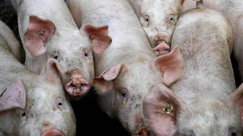 ಪ್ರಾತಿನಿಧಿಕ ಚಿತ್ರ