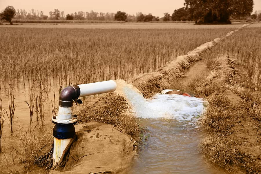 ಸಾಂಕೇತಿಕ ಚಿತ್ರ