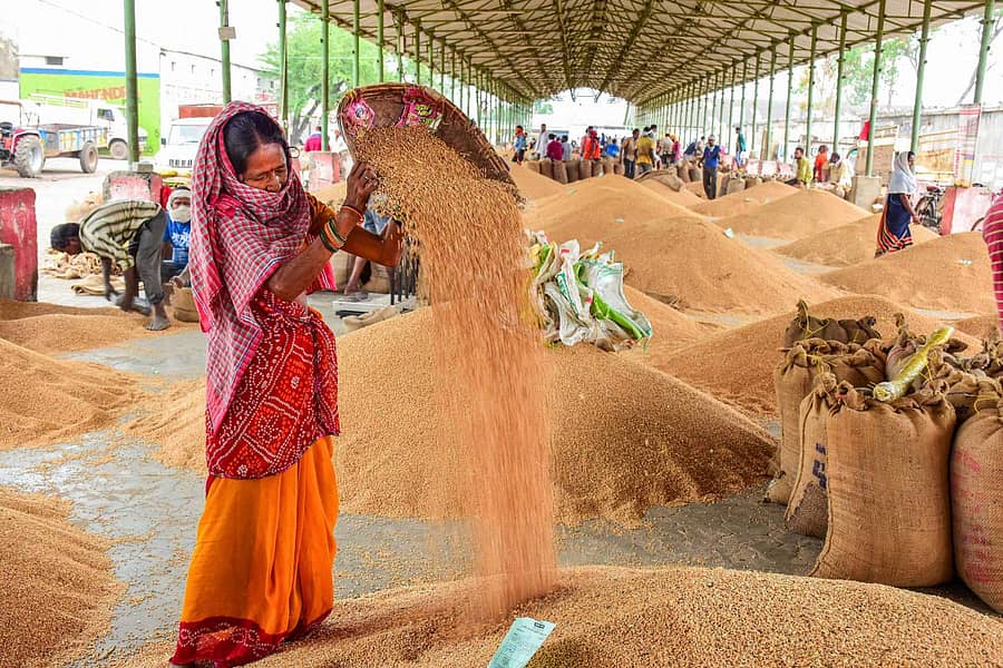 ಜಭಲ್ಪುರದ ಎಪಿಎಂಸಿಯಲ್ಲಿ ಗೋದಿ ಶುಚಿಮಾಡಿದ ಮಹಿಳೆ –ಪಿಟಿಐ ಚಿತ್ರ