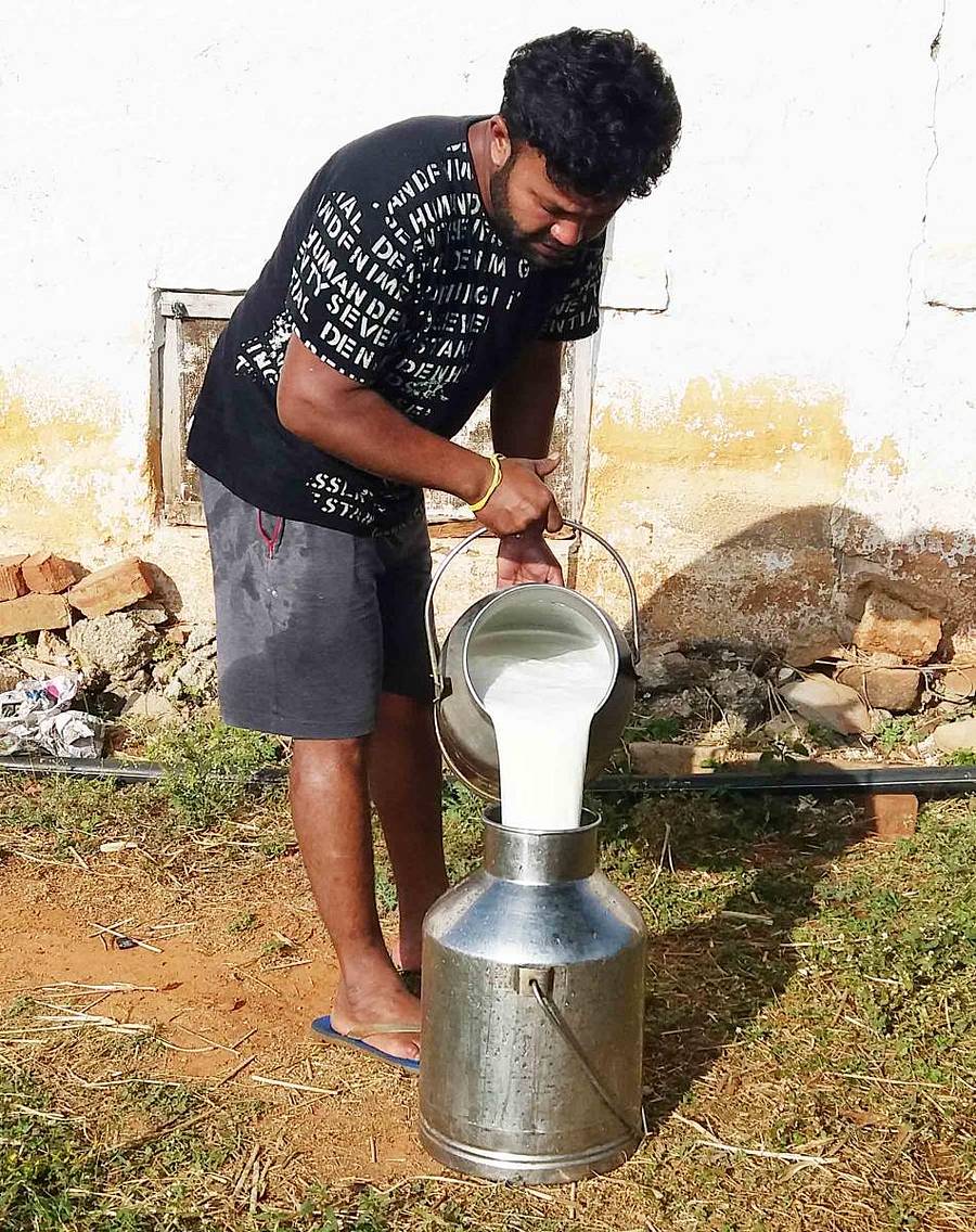 ವಿಜಯಪುರದ ಯುವ ರೈತ ಪ್ರಮೋದ್ ಡೇರಿಗೆ ತೆಗೆದುಕೊಂಡು ಹೋಗಲು ಹಾಲು ಕ್ಯಾನಿಗೆ ತುಂಬಿಸುತ್ತಿರುವುದು (ಸಂಗ್ರಹ ಚಿತ್ರ)
